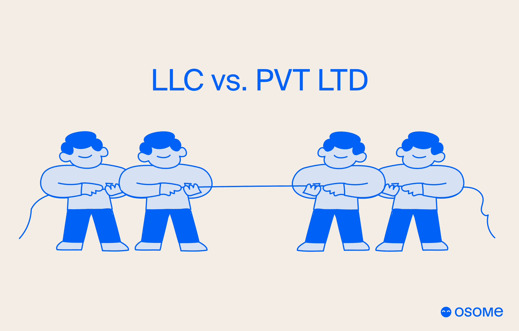 Pte LTD vs LLC: Choosing the Best Business Structure